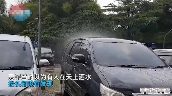 野外车里地震视频怎么播放？网友热议：这种情况下如何确保安全与信息获取的平衡？