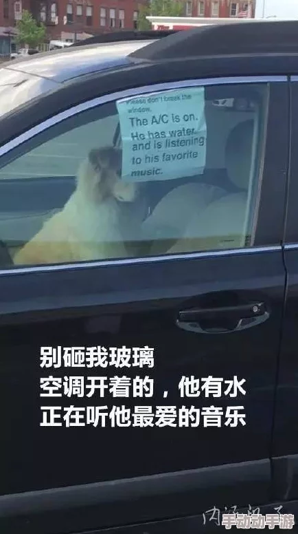 野外车里地震视频怎么播放？网友热议：这种情况下如何确保安全与信息获取的平衡？