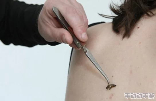 用女生的胸增鸡巴舒服吗？探讨身体接触对性快感的影响与心理因素分析