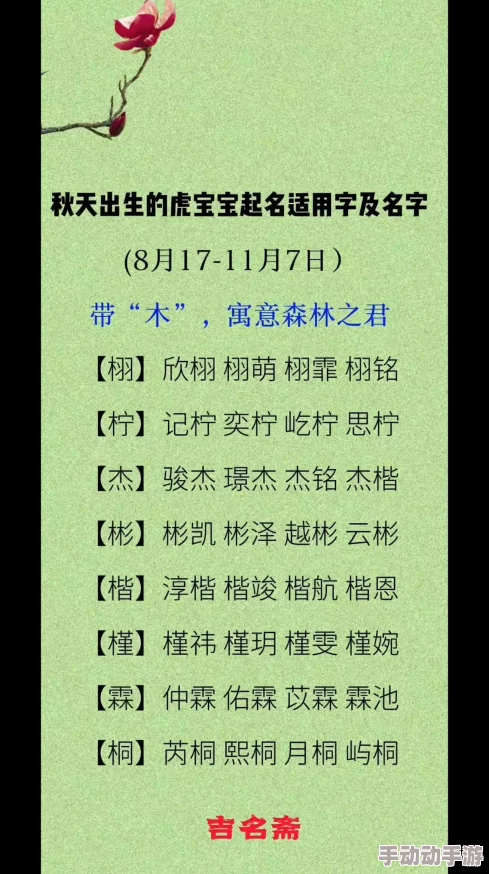 震惊！4虎的网名竟然曝光，引发网友热议，背后隐藏的故事让人瞠目结舌！