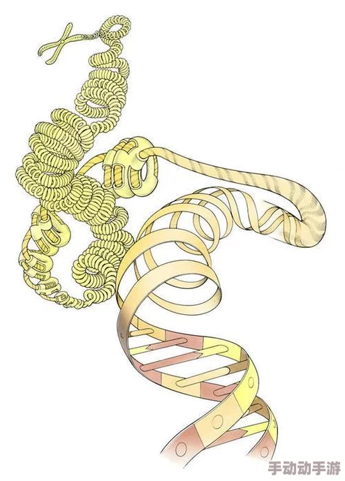 原始传奇战士高阶技能选择指南：解锁战斗潜能的关键抉择