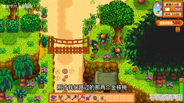 星露谷物语游戏中探索金椰子开启技巧与独特方法