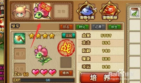弹弹堂游戏内顶级装备评测：哪款武器与防具更胜一筹？
