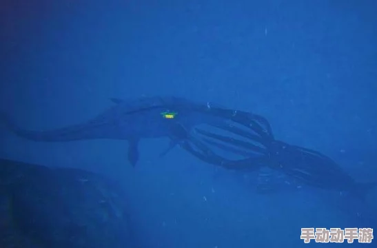 方舟手游生物百科全览：揭秘海洋霸主托斯特巨鱿的生存进化之道