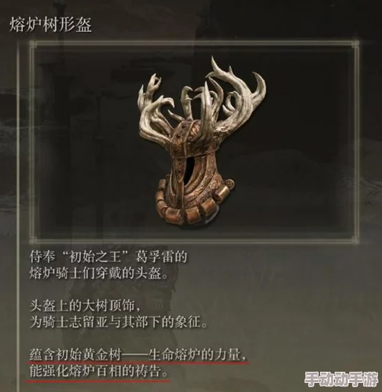 艾尔登法环世界中：女王统治与骑士荣耀，哪个更引领传奇之路？