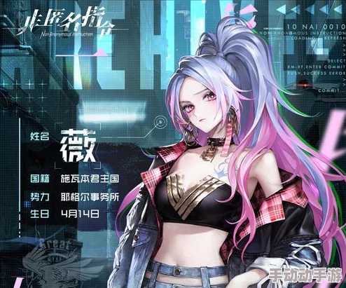 非匿名指令：一款独特角色扮演游戏的全面玩法概览