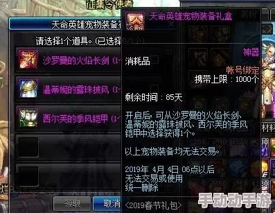 地下城勇士玩家必看：年套与宠物装备选择大比拼，哪个更胜一筹？