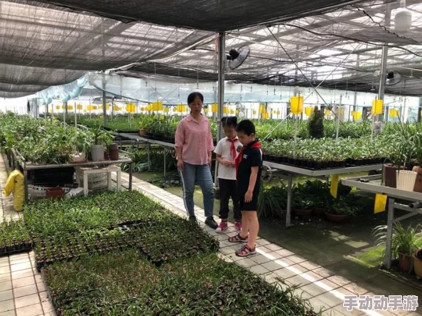 植物大战僵尸：全面探索游戏内成就与荣誉解锁指南