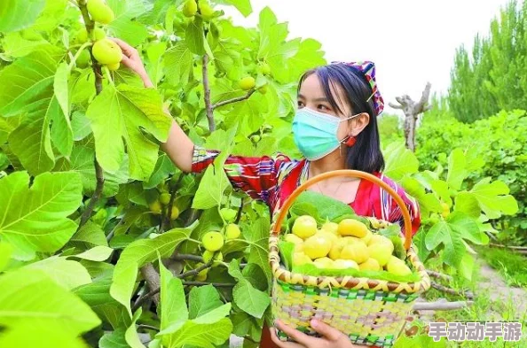 一个上面吃一个下的动态：探索美食与生活交融的奇妙体验与用户热评汇聚的深刻见解
