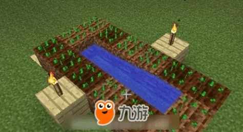 《我的世界》游戏中高效种植土地技巧与策略全攻略