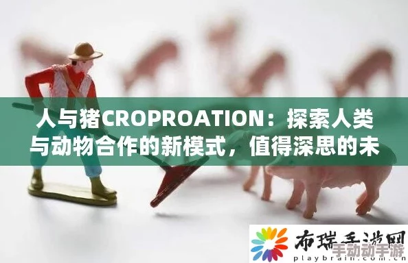 人与畜禽corporation 书评分：深入分析现代农业与动物福利的关系与挑战
