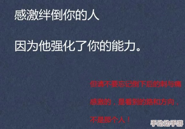 719y你会回来感谢我的：如何在逆境中找到成功的秘诀与动力