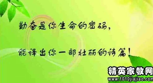 719y你会回来感谢我的：如何在逆境中找到成功的秘诀与动力