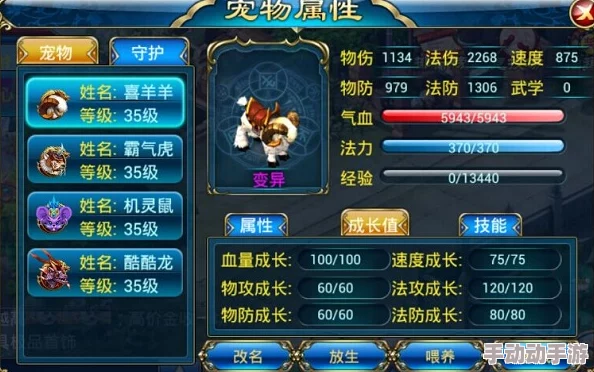 时之幻想曲：天下演武武林竞技场实战攻略，技巧策略一网打尽