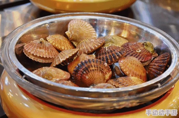 再张开点就可以吃到小扇贝了！海鲜自助火锅店盛夏狂欢活动