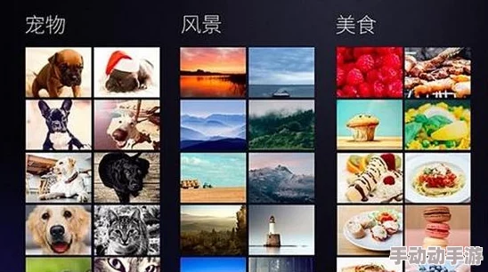 91插插库：最全面、实用的插画素材库，让你的设计更出彩
