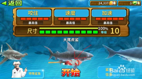饥饿鲨进化全面玩法指南与新手快速成长教程