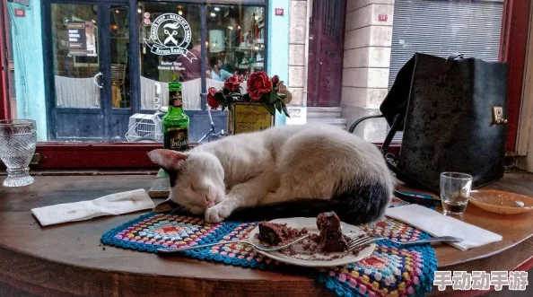 猫之城游戏攻略：全面掌握战术挑战1通关技巧与策略