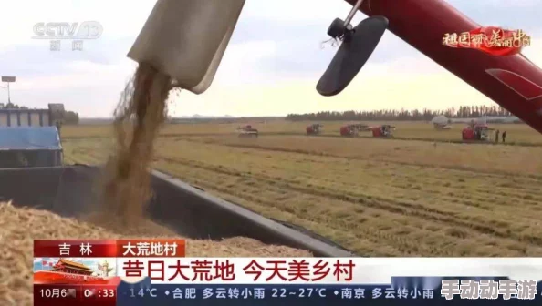 八重神子被焊出白水怎么办？中央网：令人震惊的事件引发广泛关注