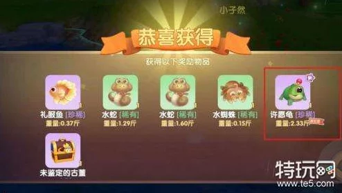 摩尔庄园中许愿龟的神秘祈福仪式与实现愿望技巧