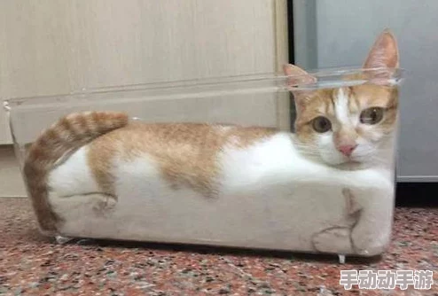 柚子猫小僵尸黑料爆料，网友评价：这个消息真是让人意外，果然不愧是引起大家关注的热议话题！