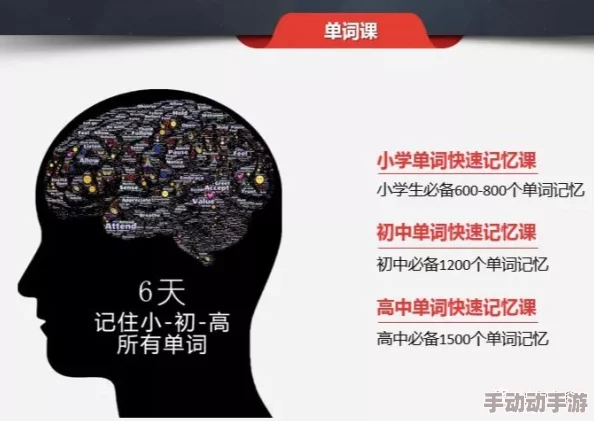 缅北前四后八怎么玩？深入理解玩法与技巧，助你轻松掌握游戏精髓！