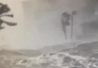 鲨鱼风暴中的顶尖精灵强度排行与全面能力概览