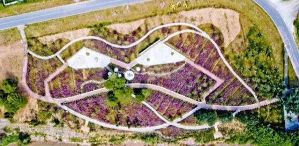 薰衣草实验室研究所2023直接入口：用户评价称赞实验室环境优雅，科研设备先进，团队专业