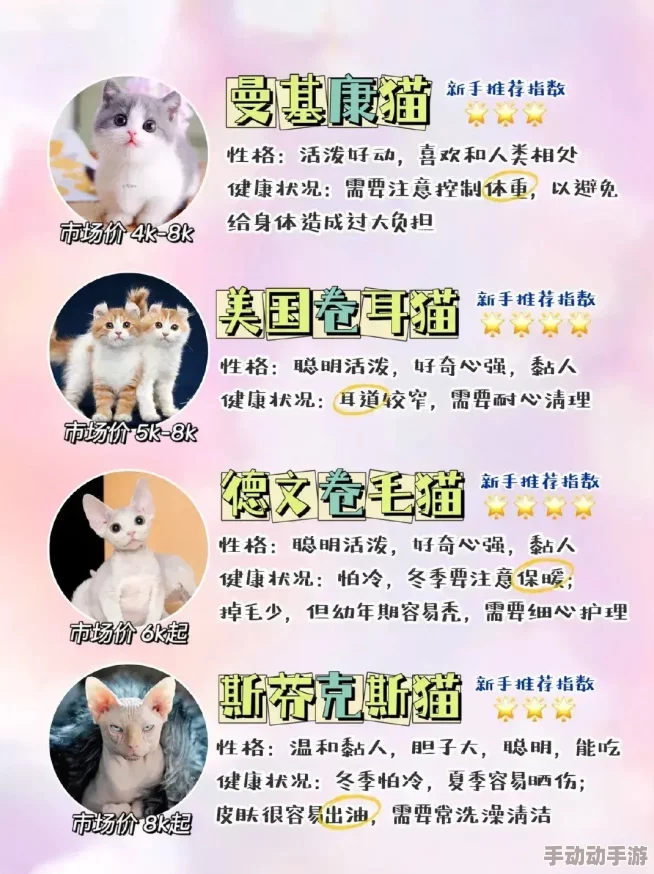 猫咪最新永久地域网名是什么？网友们纷纷表示非常可爱，值得一试！