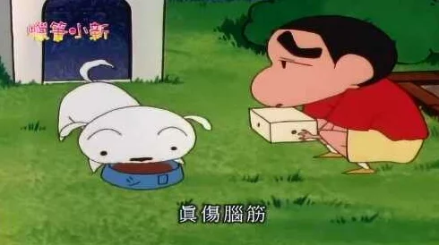 蜡笔小新：萌宠小帮手挑战！仓鼠照护大作战全攻略