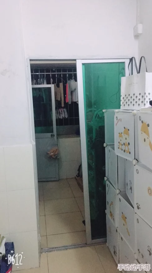 地铁应急逃生：黄门与白门的实用性与安全性全面对比解析
