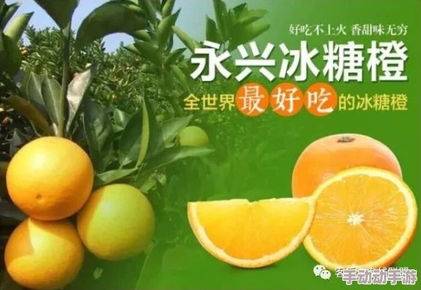 采蜜1v.1h采意方橙：见解如何影响蜂蜜的收集？