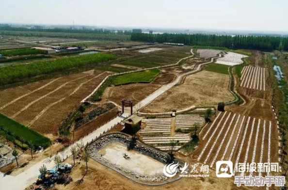蜜桃在线视频如何通过创新营销策略吸引更多用户关注与参与