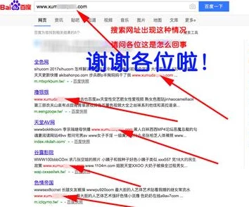 17c网站怎么找不到了？探究其背后的原因与现状分析