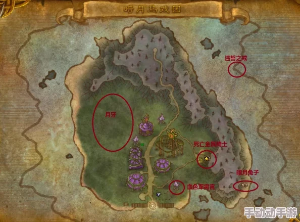 地下城与勇士》中，哪些宠物幻化造型独具魅力，成为玩家新宠？