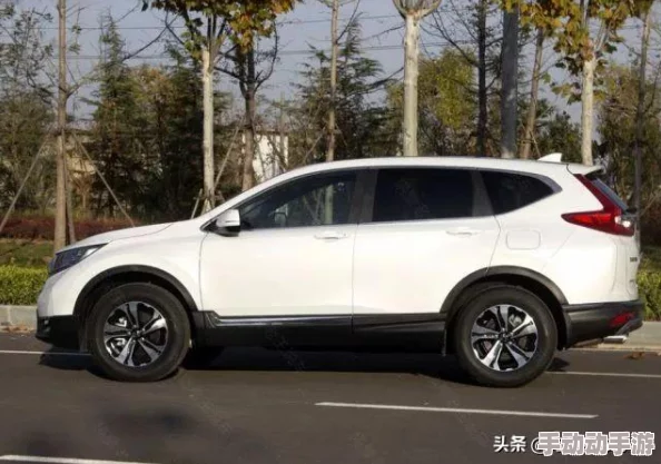 欧美无人区码suv：网友热议这款SUV的越野性能与舒适度，是否真能应对极限环境？