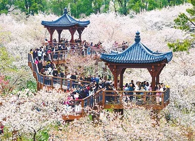 色五月激情五月：探讨五月的鲜花盛开与生机勃勃的气息