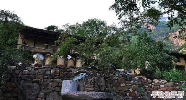 原始传奇道士职业：精选神石搭配策略与属性优化指南