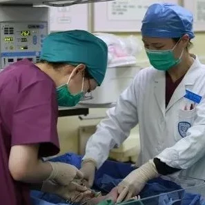 日本BBBBBB护士：在护理行业中如何平衡专业技能与人文关怀的挑战与机遇