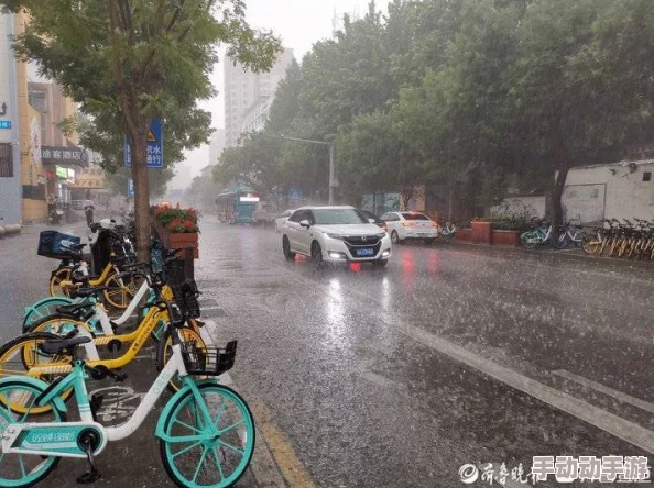 在城市生活中，公交站避雨2不仅是一个简单的场所，更是人们在风雨交加时刻相聚、交流和等待的温暖港湾