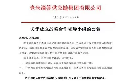 鸢飞新程：新人特训知识实战验证精华答案集，最新速递与全面解析汇总