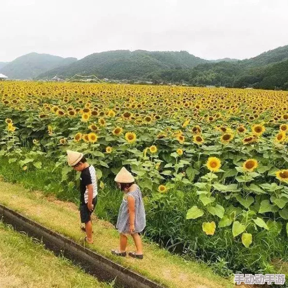 日本亲子薍伦××××90路，网友热议：这条路线真是家庭出游的最佳选择，风景优美又适合孩子玩耍！