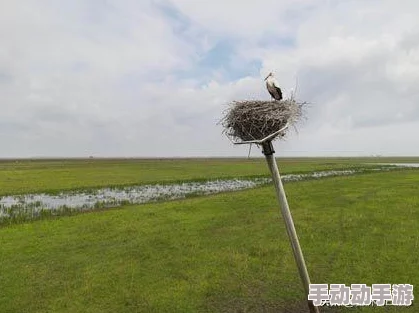 生物老师拿自己做繁育实验，体现了教育与科学研究的结合，以及对生命现象深入理解的重要性和责任感