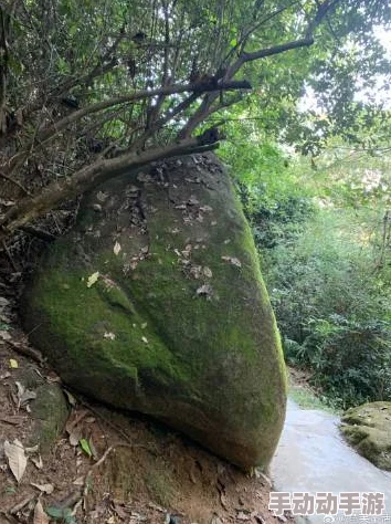 嫩草石隐藏入口，网友热议：这个地方真的存在吗？有没有人亲自去过？期待更多分享和实地探访的故事！