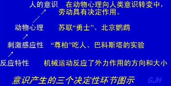 理解芙宁娜ちゃんの球棒的起源：从历史到文化的深度分析与探讨