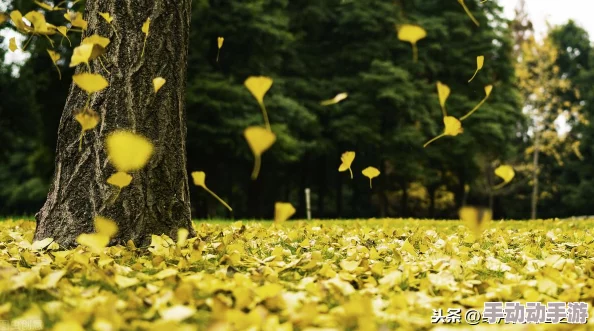 老师扒开胸让学生摸，理解教育中的界限与师生关系的复杂性和重要性