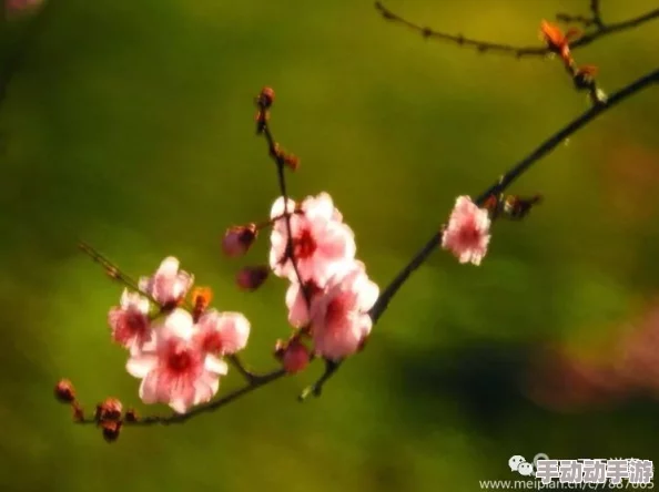 班主任的兔兔那么可爱，宛如百花争艳春风吹