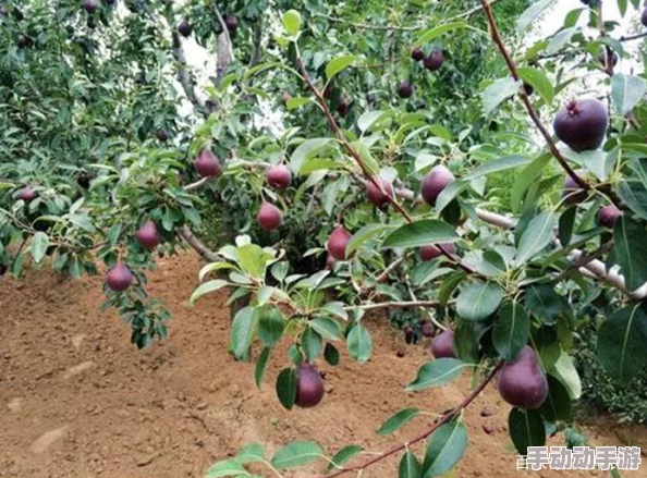 今日吃瓜51cg热门大瓜反差，带你领略精彩故事与超乎寻常的逆转惊喜！