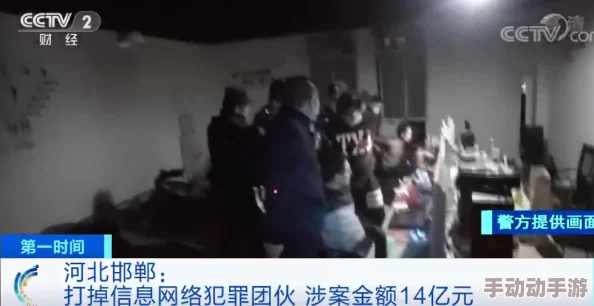 李宗瑞1314苦瓜网125：警方破获网络诈骗案，涉案金额高达千万，引发社会广泛关注