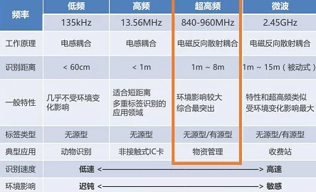 日本Zoom与国产Zoom对比：最新数据显示，国产Zoom用户增长速度超越国际竞争者，引发行业热议